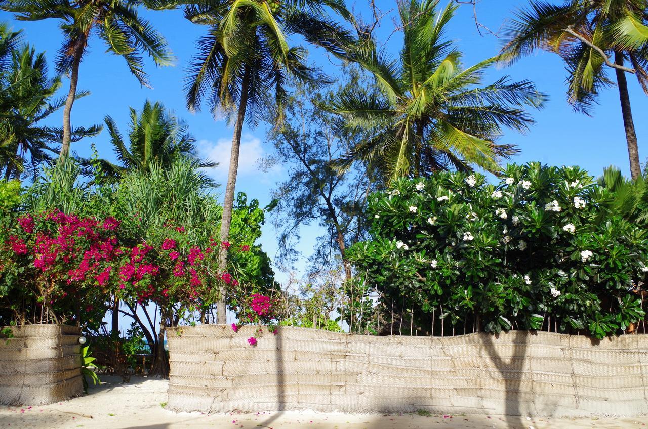 Kimte Beach Lodge Jambiani  Exterior photo